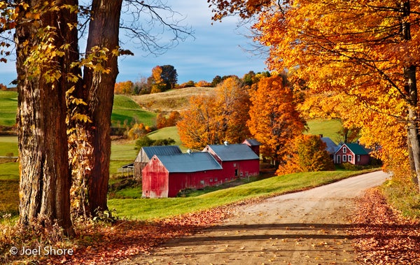 We asked for the best pictures of fall foliage. Here are our favorites.