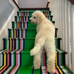 Sheila Hooley Sheeran