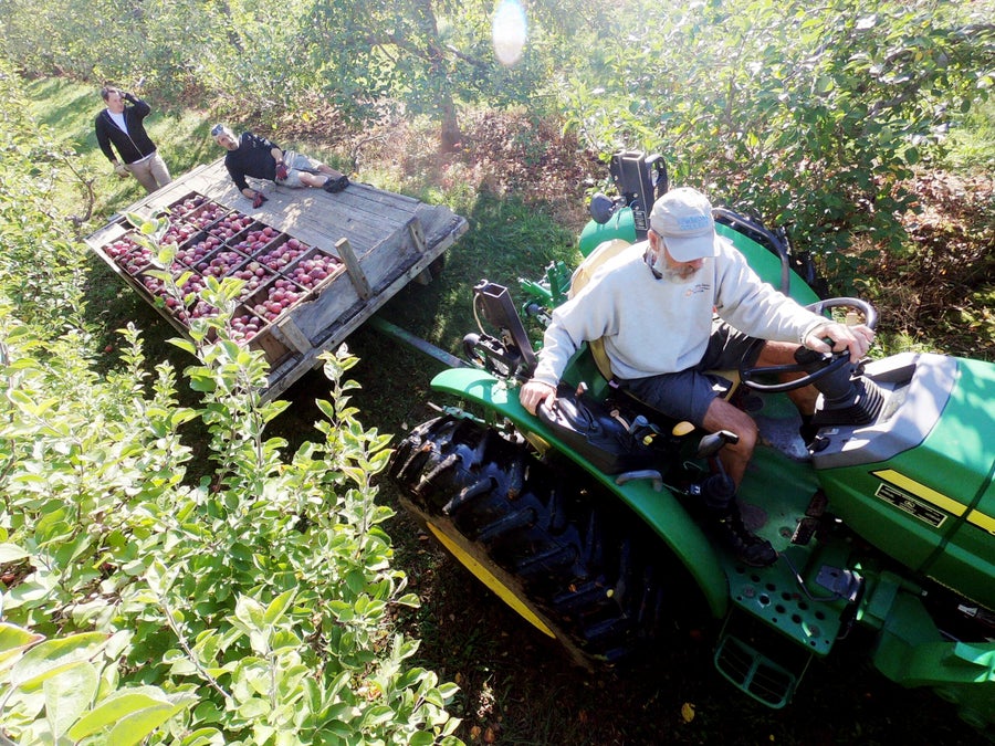 Where to go apple picking in Massachusetts The ultimate guide