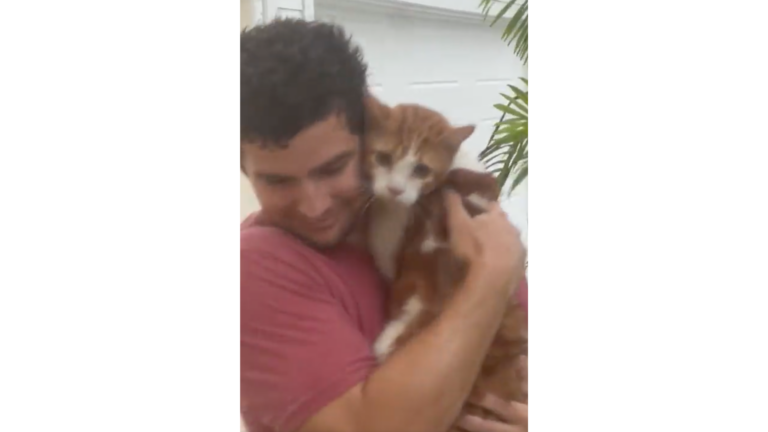 Man turns internet hero after saving cat from Ian's floodwaters - Vimarsana News