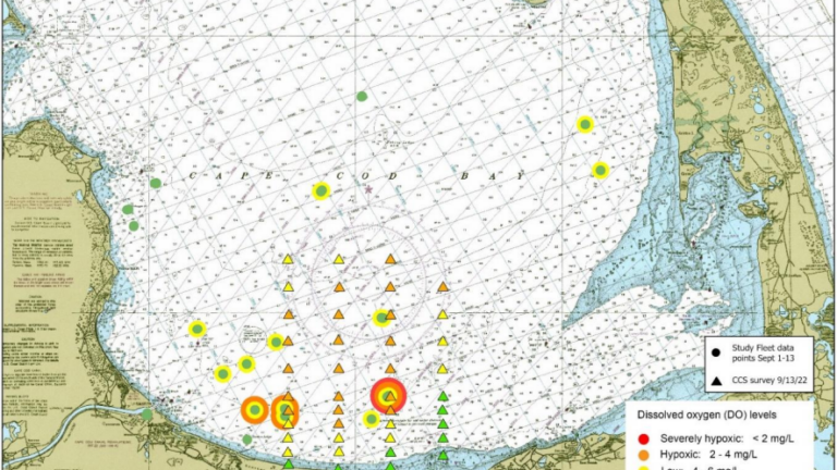 Massachusetts DPH issues fish consumption advisories for 5 Cape Cod  waterbodies