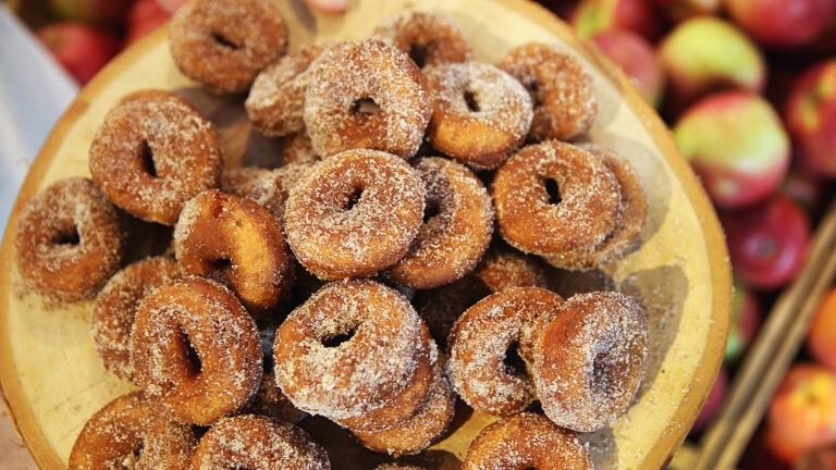apple cider doughnuts