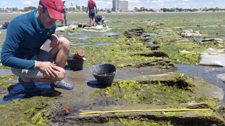 How tree rings helped identify a rhode island whaler lost at sea