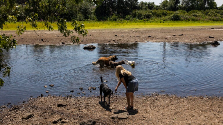Drought kills crops, sparks fires throughout New England - Vimarsana News