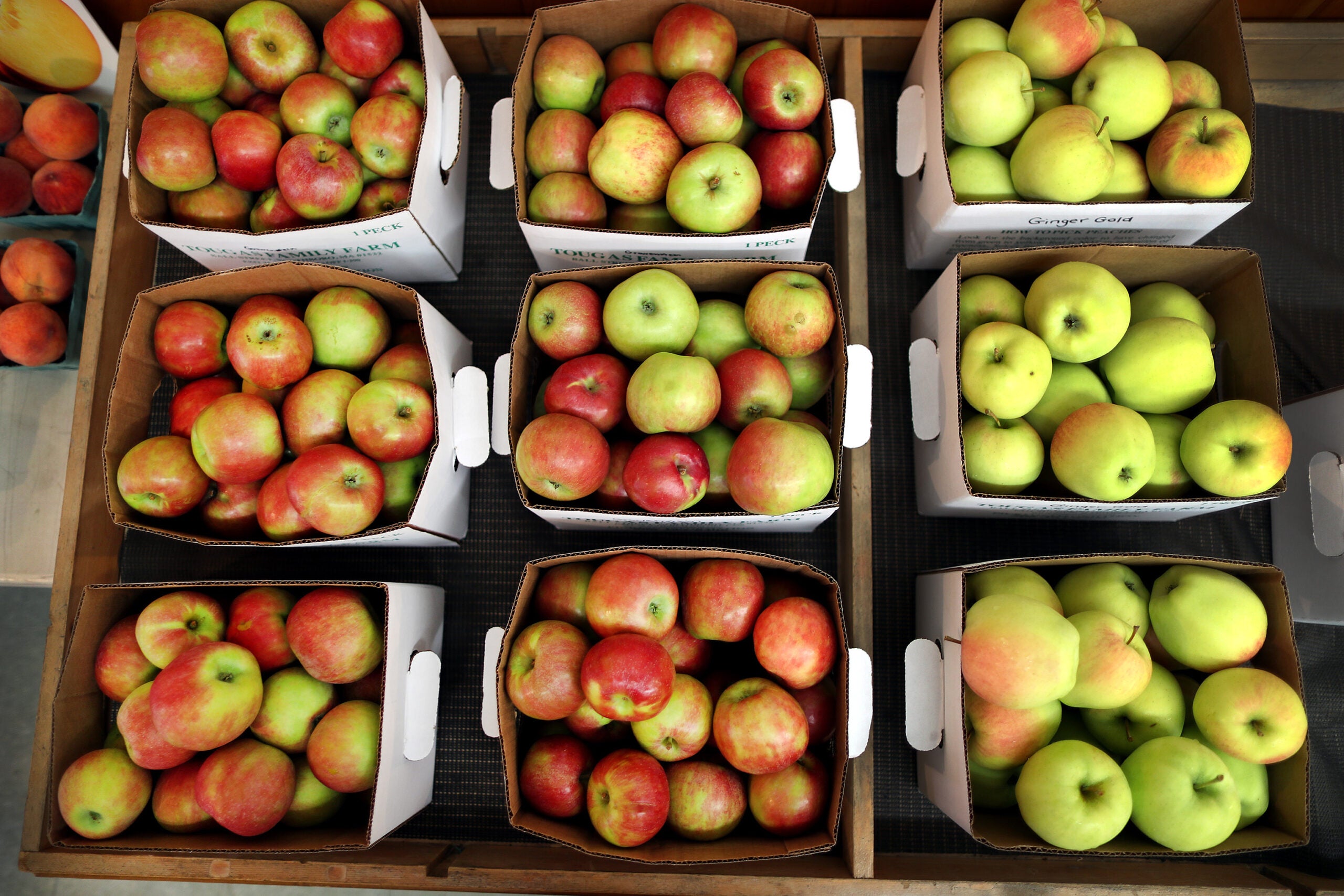 Boxes of recently picked apples