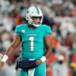 NFL, futures, division, Miami Dolphins