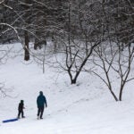 Father and son walk up a snowy hill at the Arnold Arboretum in Jamaica Plain