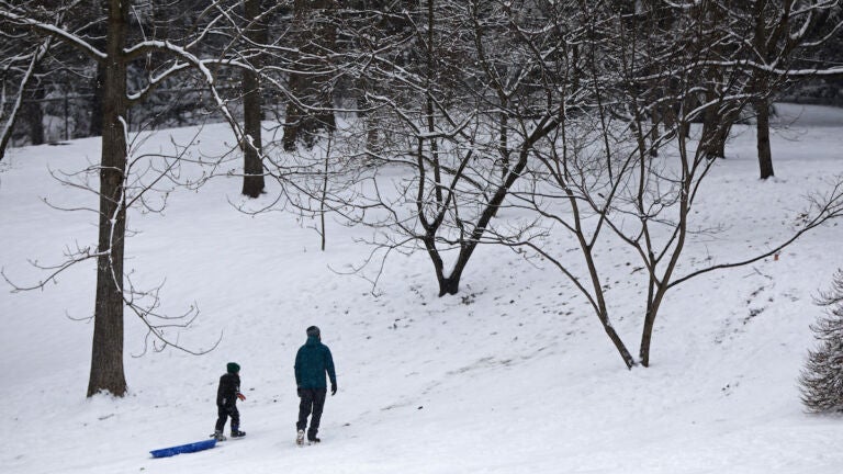 Father and son walk up a snowy hill at the Arnold Arboretum in Jamaica Plain