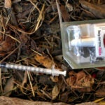 A used needle lies next to a Narcan nasal spray on the field at Clifford Park in Roxbury