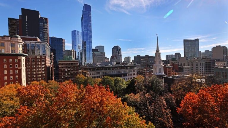 Boston, MA - 11/02/2022: A view of the top/crown of colorful trees at the Granary Burying Ground in Boston with the Park Street Church steeple ( on the right ) (David L Ryan/Globe Staff ) SECTION: METRO