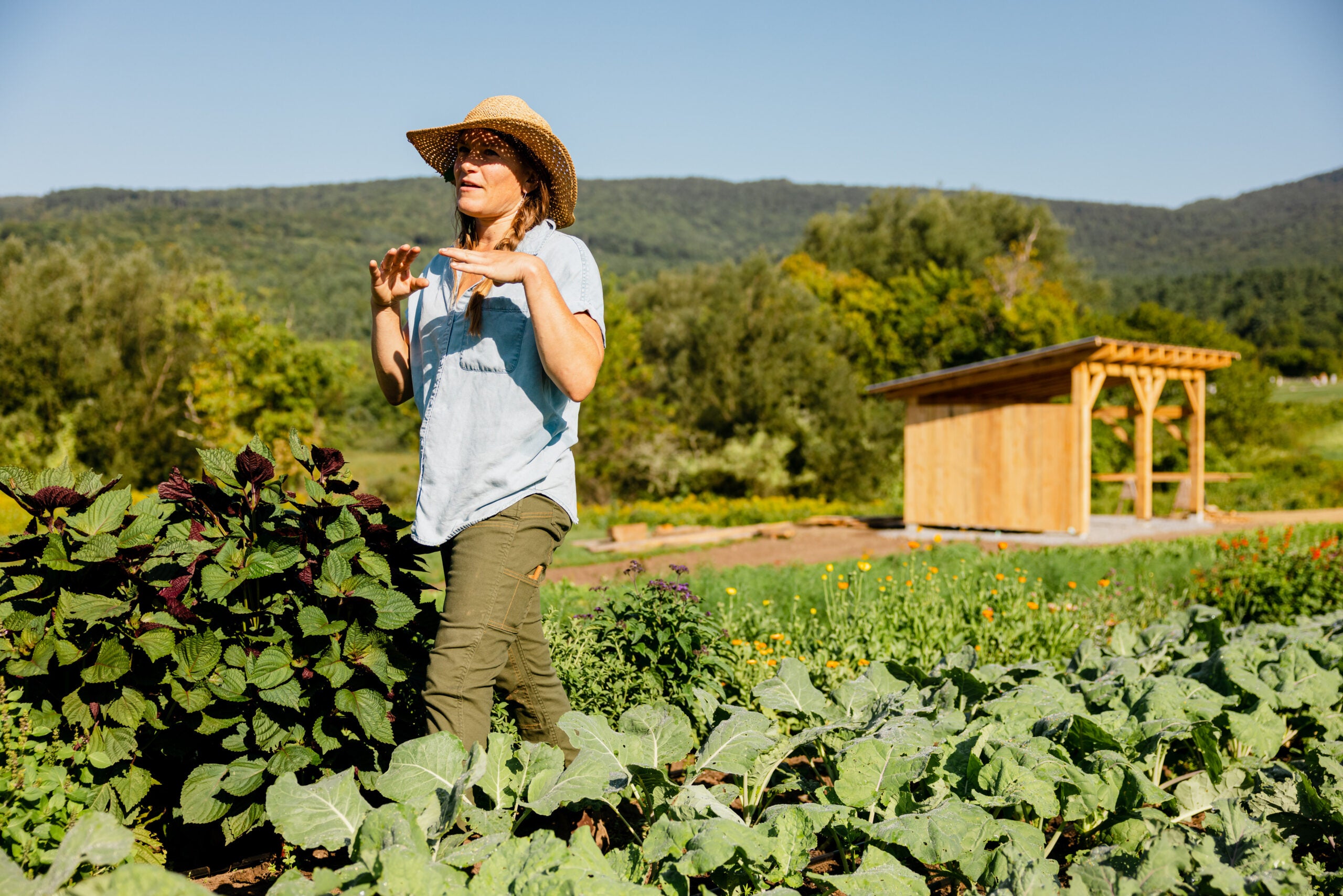 The Yisrael Family Farm - Smokable herbs has some beautiful