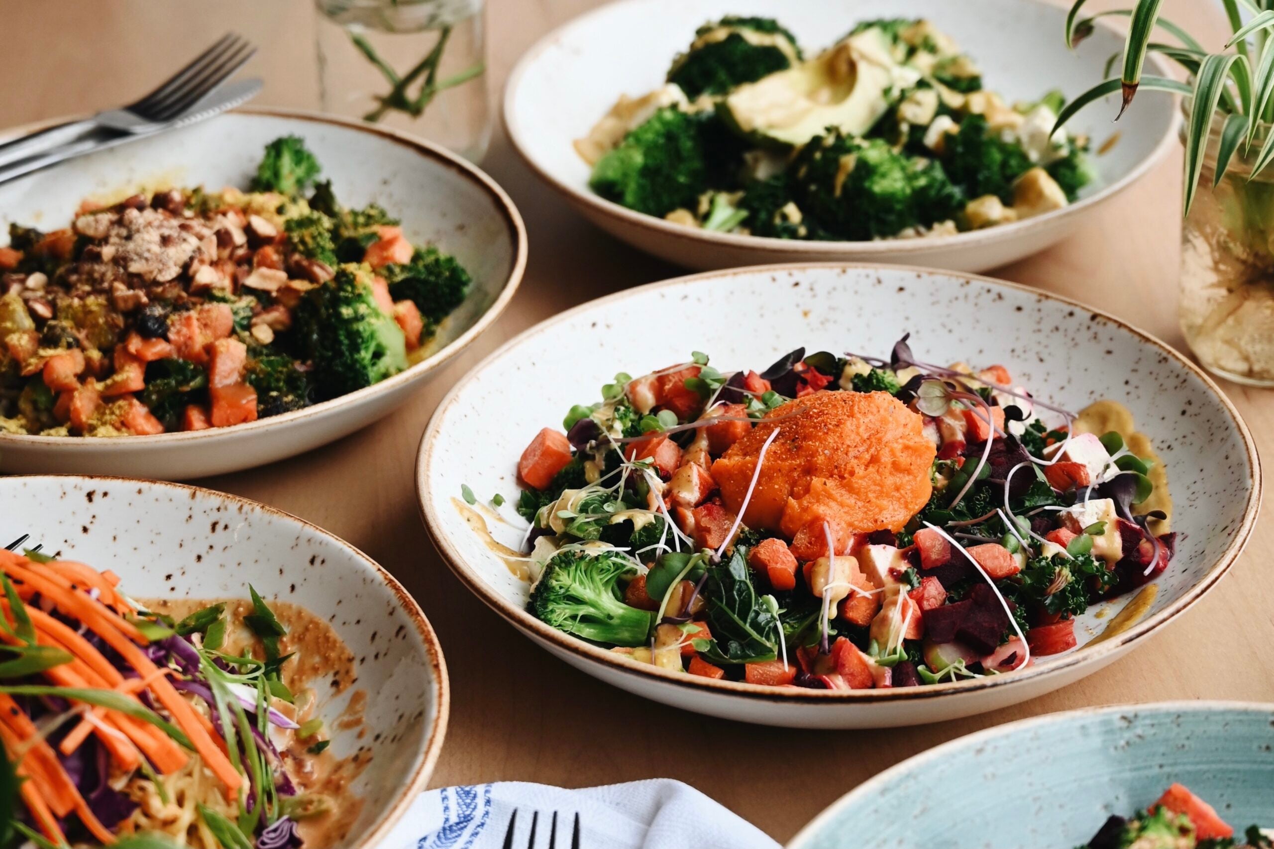 Here's Where To Get The Best Plant-based Dishes In Greater Boston