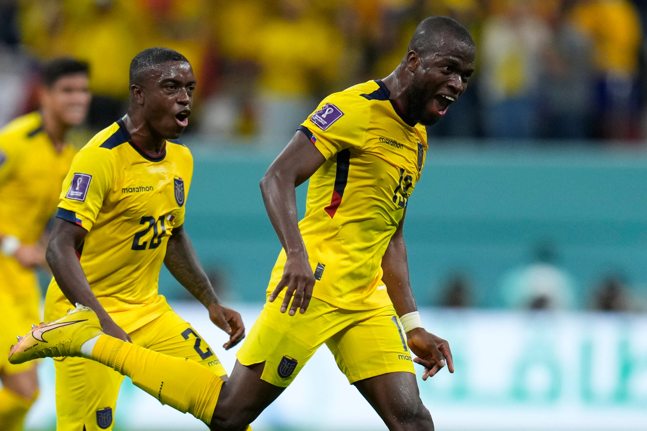 Ecuador vs. Senegal prediction