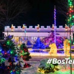 See the Yukon Creek lit up for the season at the Stone Zoo's ZooLights through Jan. 8.