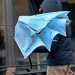 David L. Ryan/Globe Staff