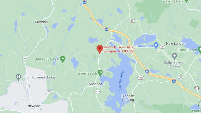 22-year-old N.H. woman dies when car crashes into falling tree - Vimarsana News
