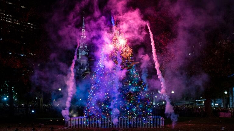 Fireworks illuminate the Christmas Tree at the 81st Annual Boston Common Tree Lighting.