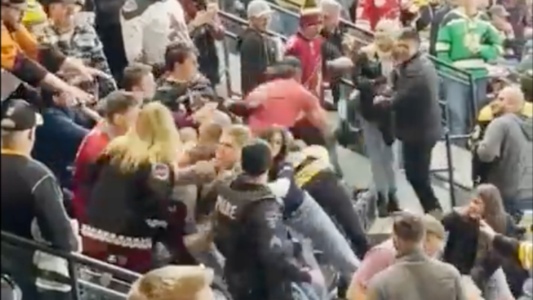 NHL Fan Has Part of Finger Bitten Off in Arizona Arena Brawl