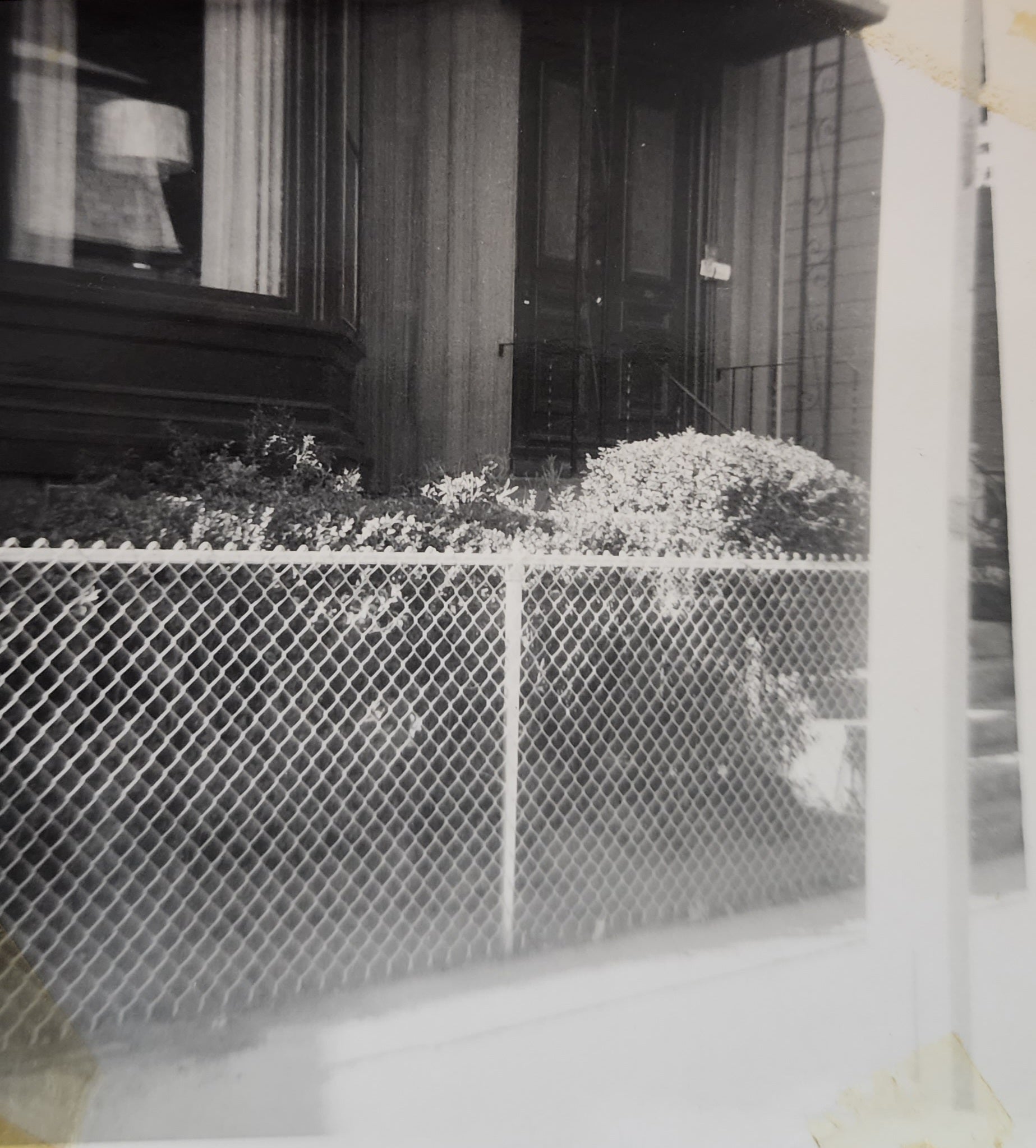 A black and white photo of a Victorian with a wire fence in front of a bunch of shrubs. There is a lamp with a wide base and a white lampshade in the picture window, framed by horizontally striped curtains.