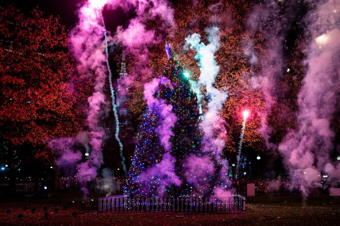 Photos: Boston's tree is lit