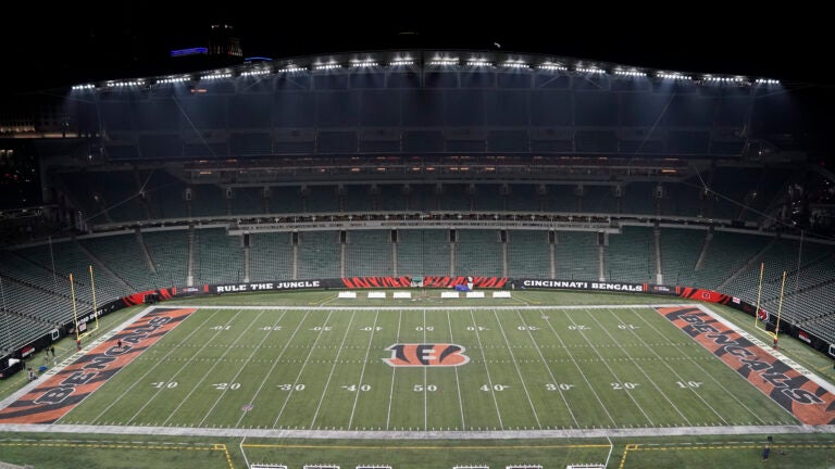 cincinnati bengals bleacher