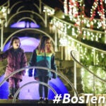 "Winterlights" at the Bradley Estate in Canton.