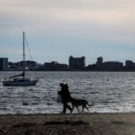 BOSTON, MA - 1/28/2023 Temperatures reached into the 50s on Saturday. STANDALONE