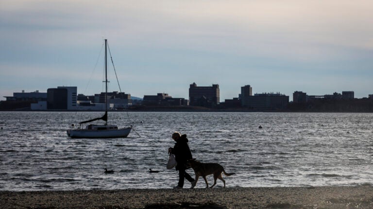 BOSTON, MA - 1/28/2023 Temperatures reached into the 50s on Saturday. STANDALONE