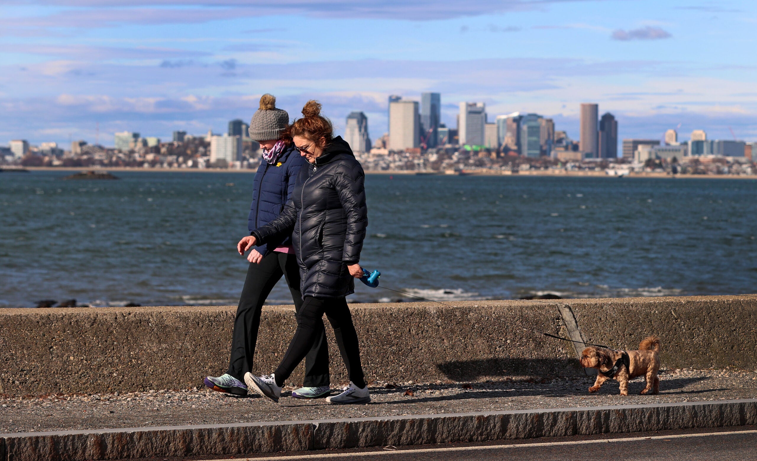 People go for a brisk winter walk with a dog along a breakwater in Squantum with Boston in the background.