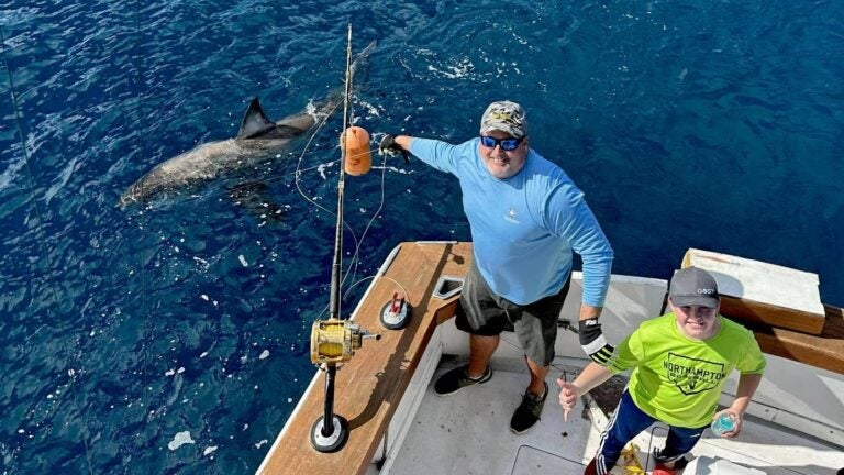 Mass. 12-year-old reels in 400-pound great white shark off Florida