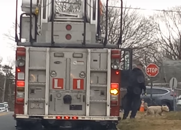 R.I. fire department criticized after firefighter filmed using ladder truck to bring dog to groomer - Vimarsana News