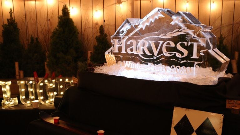 Harvest winter fest luge