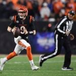 Super Bowl predictions bengals, chiefs, 49ers, eagles