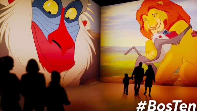 Floor-to-ceiling images from "The Lion King" are projected on the walls at "Disney Animation: Immersive Experience."