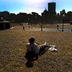Enjoying mild February temperatures on the Boston Common.