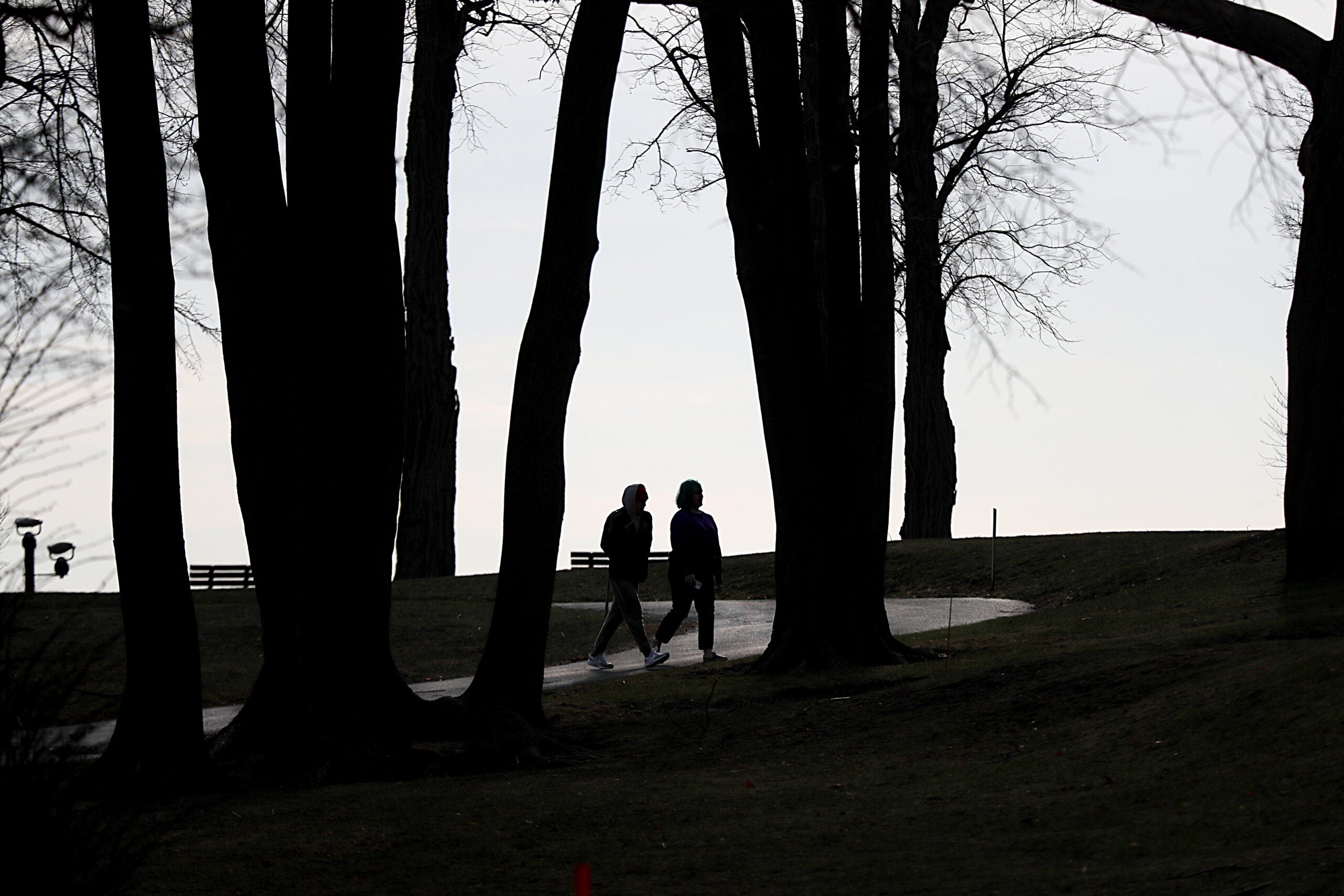 People walking among trees at Lynch Park in Beverly.