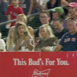 A cat interrupted the Red Sox' spring training game against the Marlins on Tuesday.