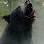 A scene from "Cocaine Bear."