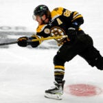 David Pastrnak