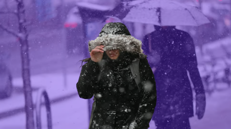 Winter is back, baby. ðŸ¥¶ - Vimarsana News