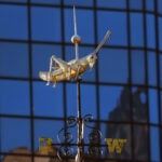 The gilded grasshopper atop Faneuil Hall in early morning sunlight.