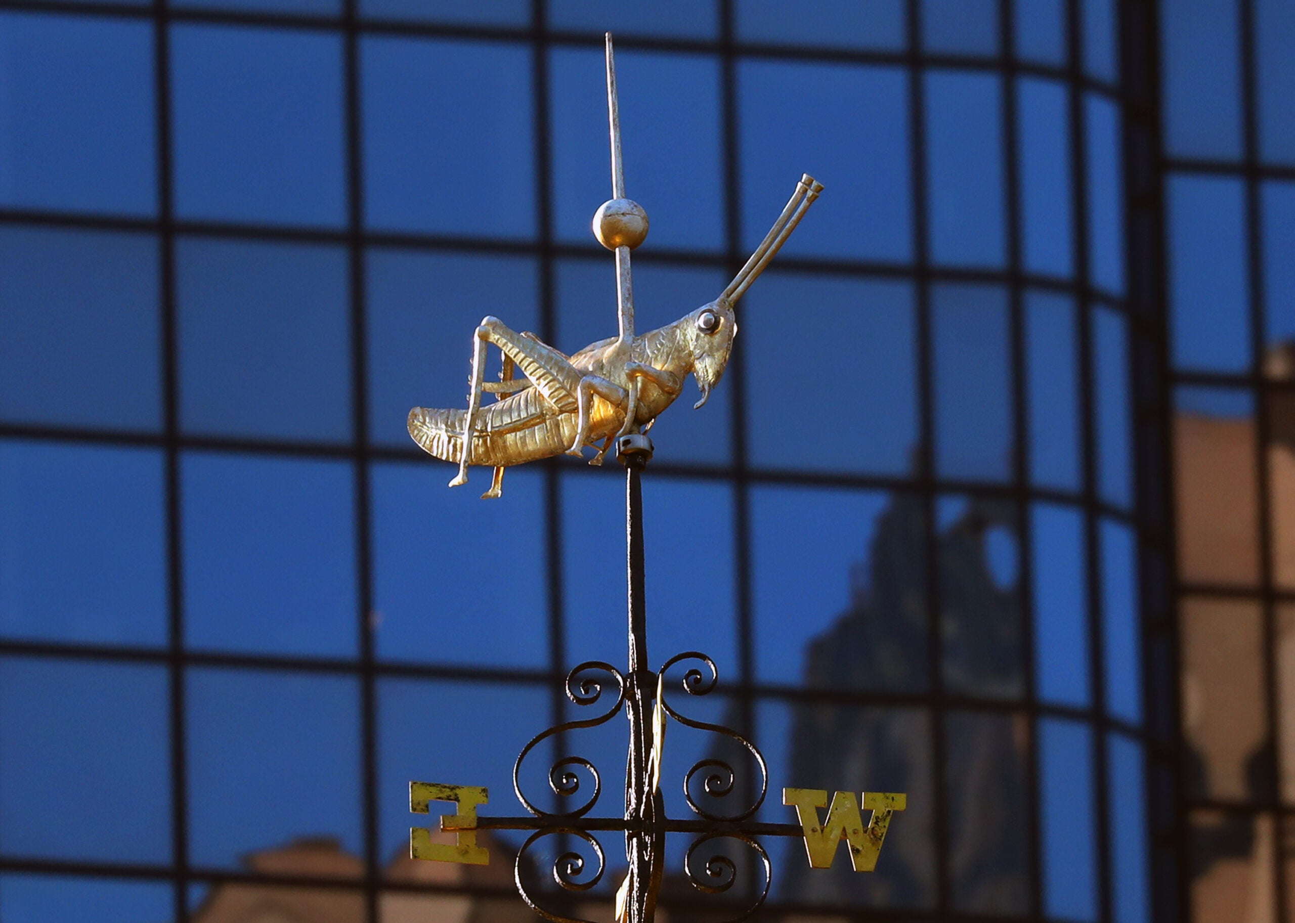 The gilded grasshopper atop Faneuil Hall in early morning sunlight.