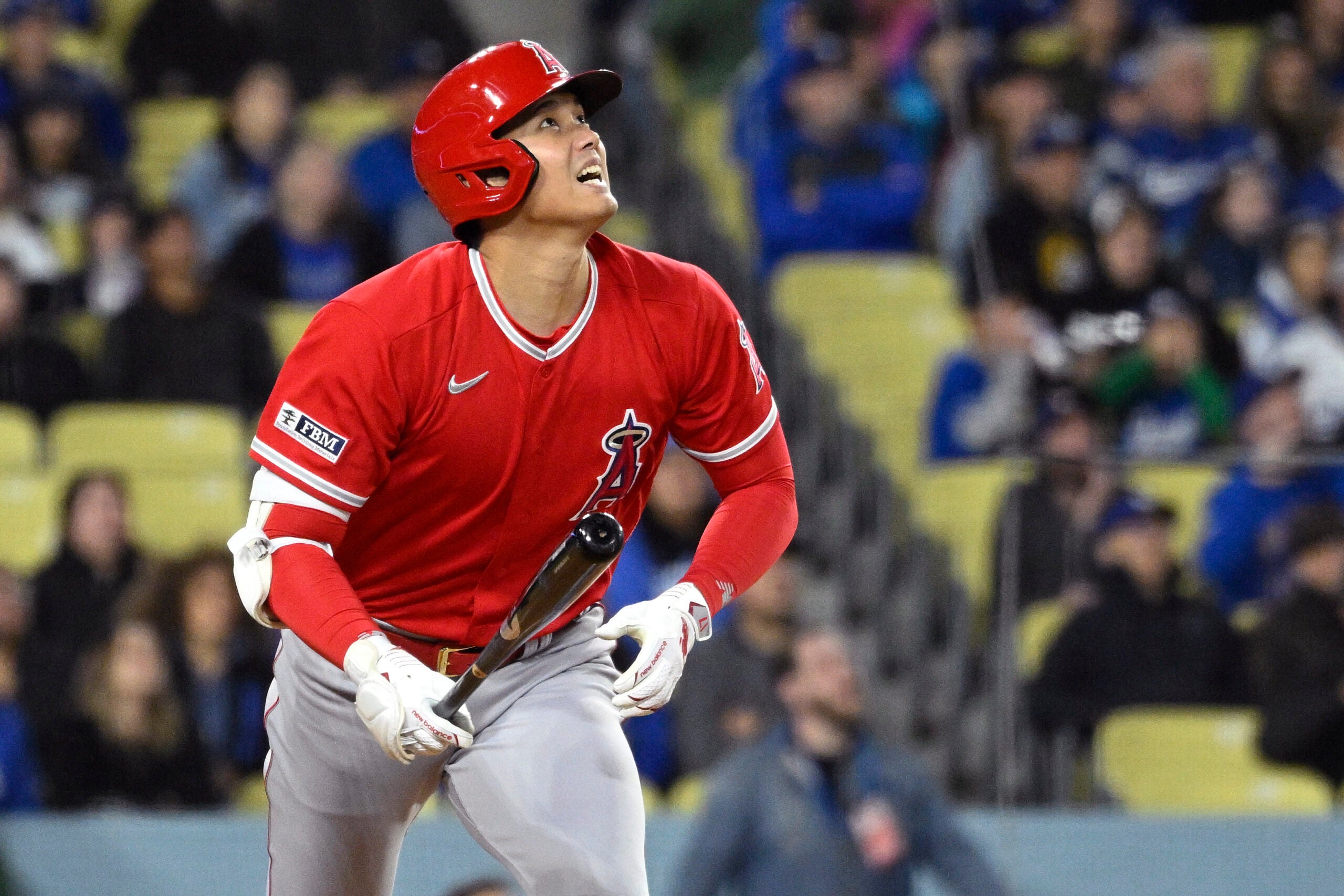 Shohei Ohtani is one of the possible mlb free agents after this season.