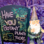 The B-Side Seaport Utopia Plant Festival