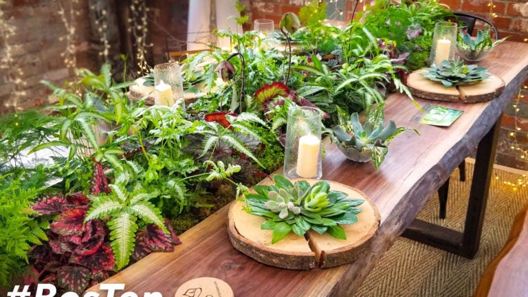 10 things to do in Boston this weekend - Vimarsana News