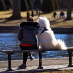 A woman and her dog sit together on a park bench.