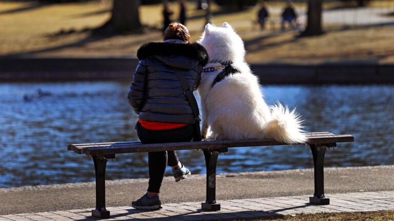 A woman and her dog sit together on a park bench.