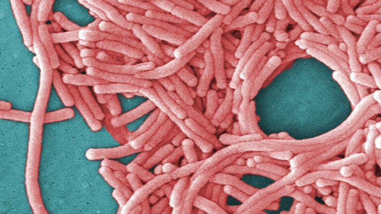 Lincoln nh legionnaires disease