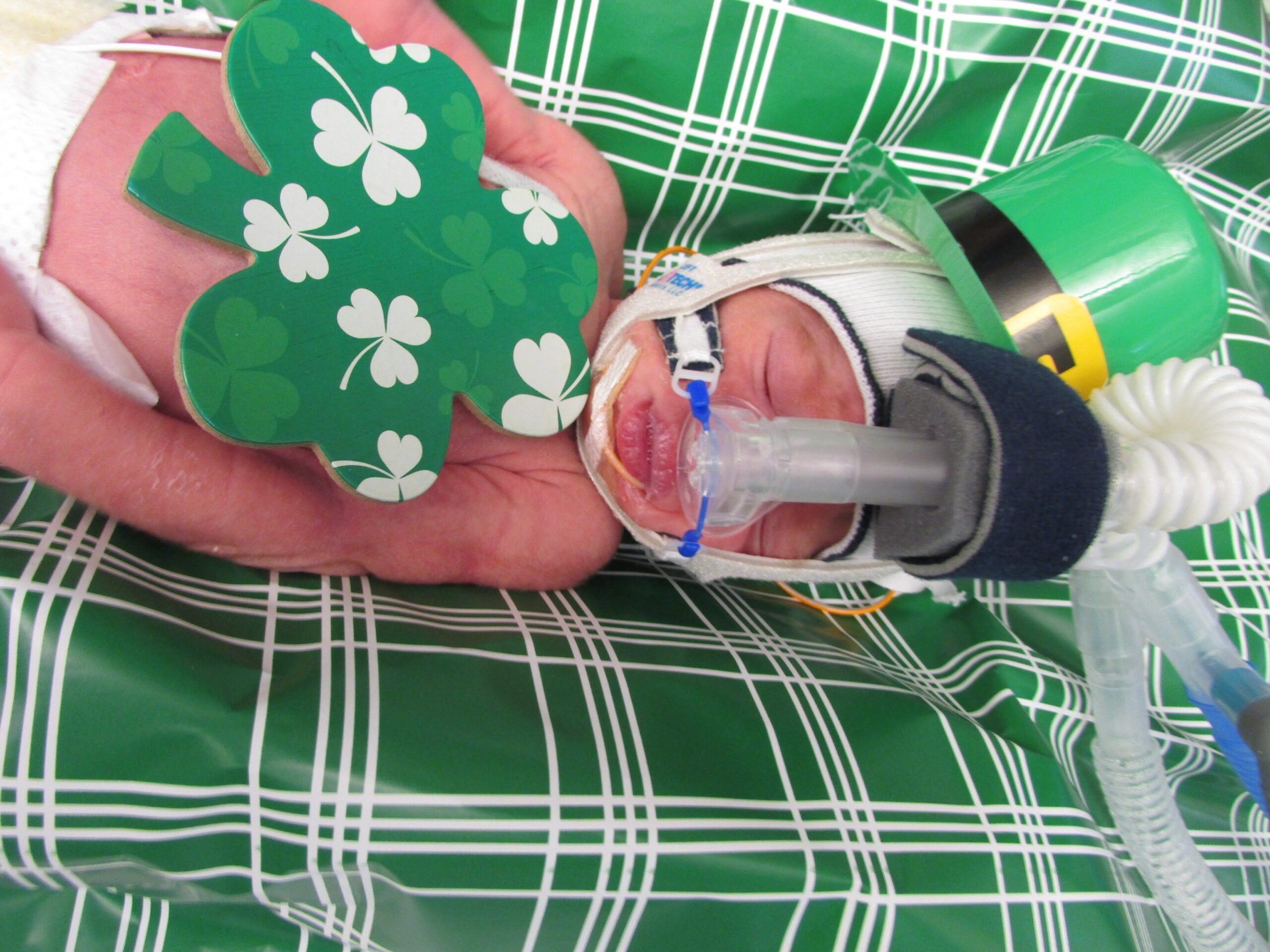 Tufts Medical Center NICU Babies Celebrate St. Patrick's Day