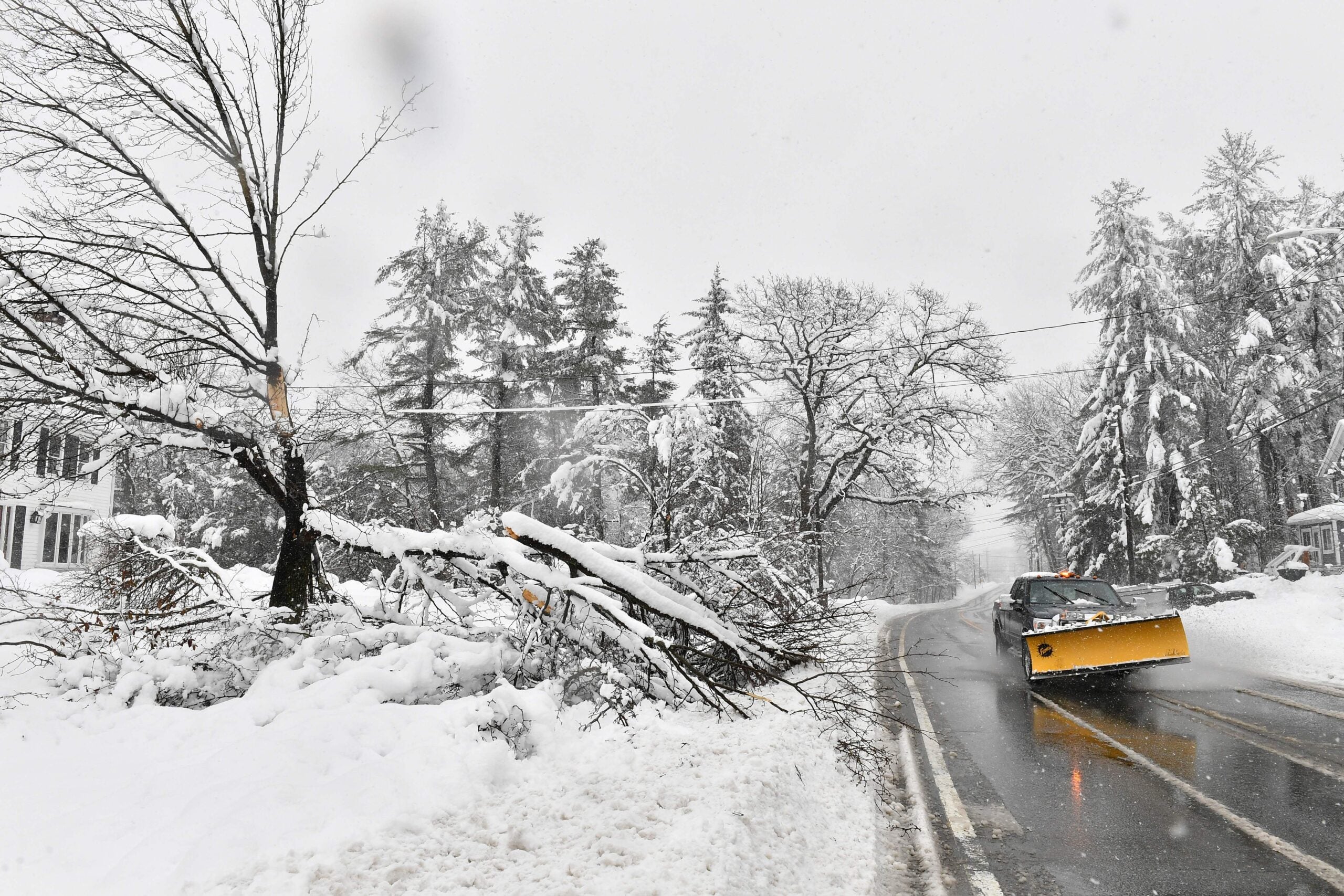A tree is damaged by the weight of the snow in Holden, Massachusetts, on Tuesday.